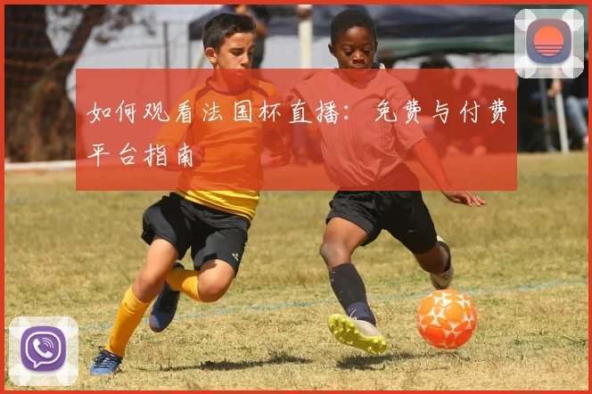 如何观看法国杯直播：免费与付费平台指南