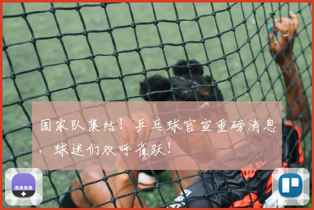 国家队集结！乒乓球官宣重磅消息，球迷们欢呼雀跃！