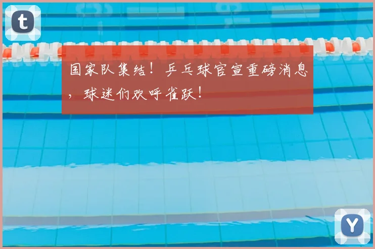 国家队集结！乒乓球官宣重磅消息，球迷们欢呼雀跃！